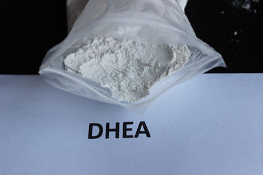 चीन एंटी एजिंग Dehydroepiandrosterone / DHEA कच्चे स्टेरॉयड पाउडर फार्मास्युटिकल कच्चे माल आपूर्तिकर्ता